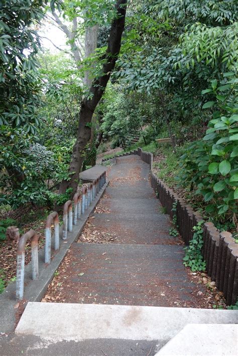 夢見山墳|加瀬台3号墳 夢見ヶ崎・加瀬台古墳群探訪その3 神奈川県川崎市。